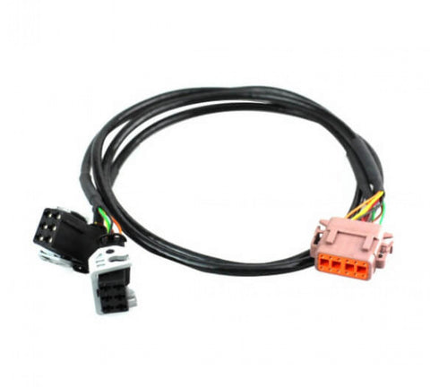Racepak Air Fuel Harness B Side Amp